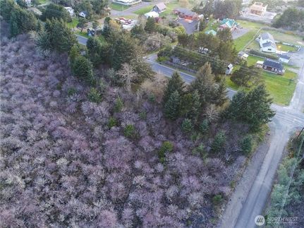 Land for sale in Pacific County, Washington