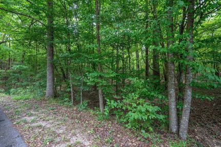 Recreational Property for sale in Hot Spring County, Arkansas