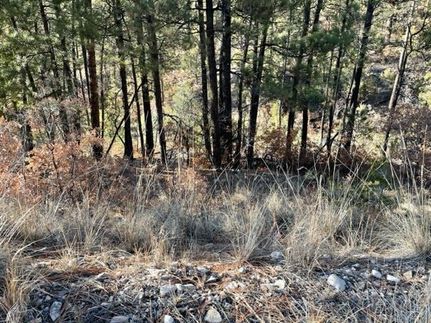 Homesite for sale in Otero County, New Mexico