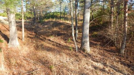 Undeveloped Land for sale in Cherokee County, North Carolina