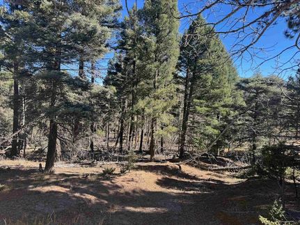Land for sale in Colfax County, New Mexico