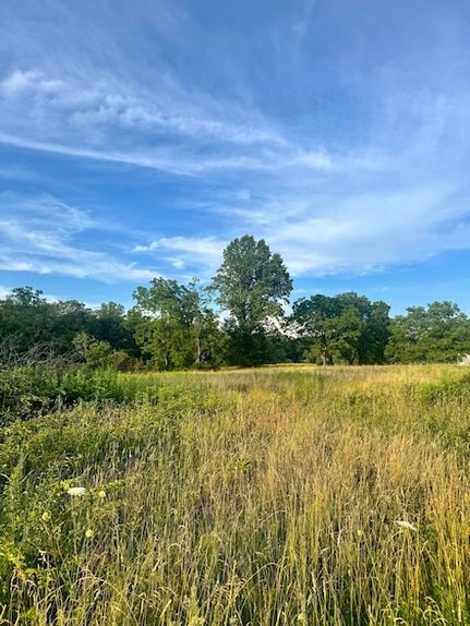 Homesite for sale in Nicholas County, West Virginia