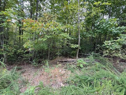 Land for sale in Sevier County, Tennessee