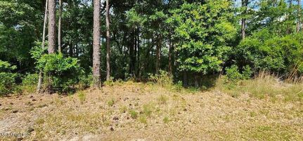 Land for sale in Hancock County, Mississippi
