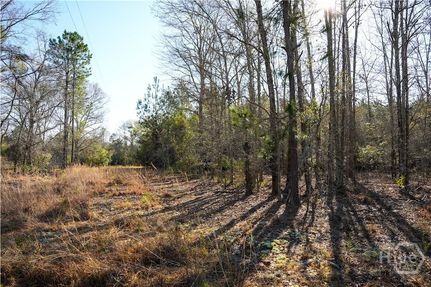 Land for sale in Bulloch County, Georgia