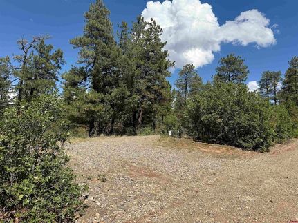 Land for sale in Archuleta County, Colorado