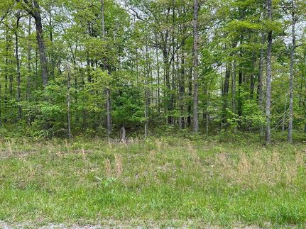 Homesite for sale in Cumberland County, Tennessee