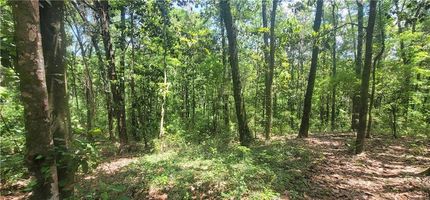 Land for sale in Mobile County, Alabama