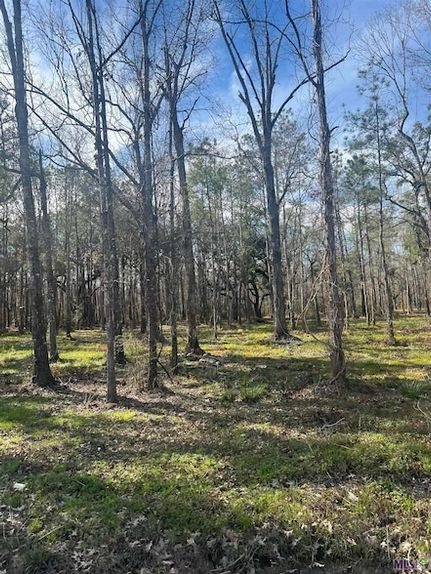 Land for sale in Livingston Parish, Louisiana