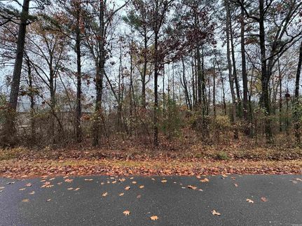 Land for sale in Saline County, Arkansas