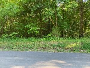Land for sale in Meigs County, Tennessee