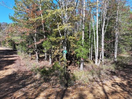 Farm and Ranch for sale in Calloway County, Kentucky