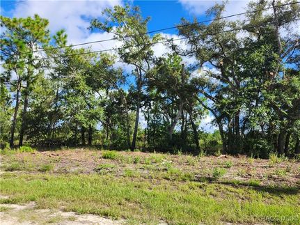 Land for sale in Citrus County, Florida
