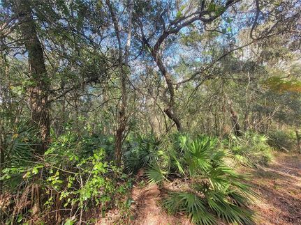 Land for sale in Hernando County, Florida