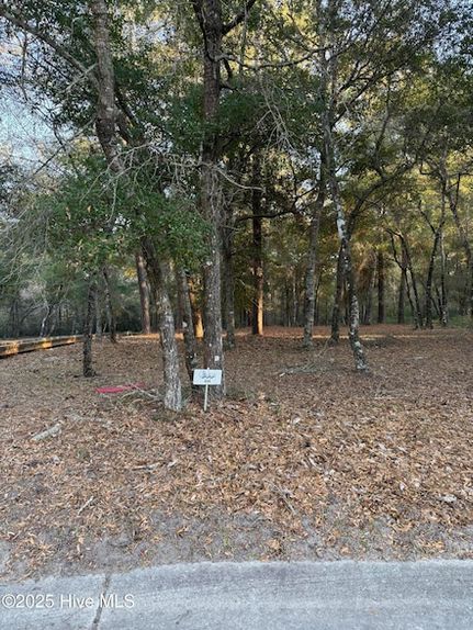 Land for sale in Brunswick County, North Carolina