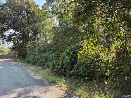 Undeveloped Land for sale in Jackson County, Alabama