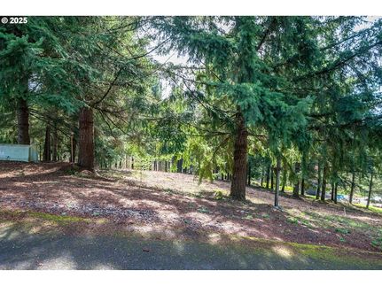 Land for sale in Cowlitz County, Washington