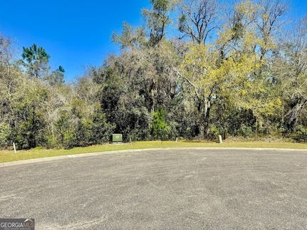 Homesite for sale in Camden County, Georgia