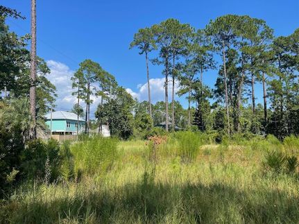 Homesite for sale in Walton County, Florida