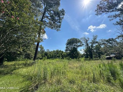 Homesite for sale in Scott County, Mississippi