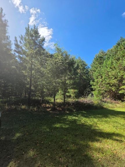 Undeveloped Land for sale in Jenkins County, Georgia