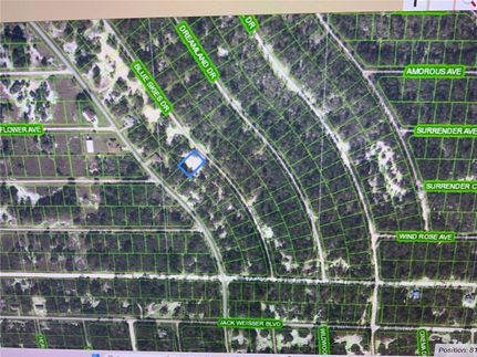 Undeveloped Land for sale in Highlands County, Florida