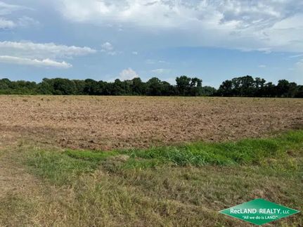 Undeveloped Land for sale in Ashley County, Arkansas