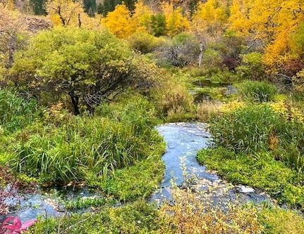 Land for sale in Pennington County, South Dakota