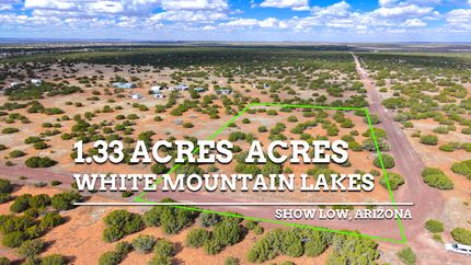 Land for sale in Navajo County, Arizona