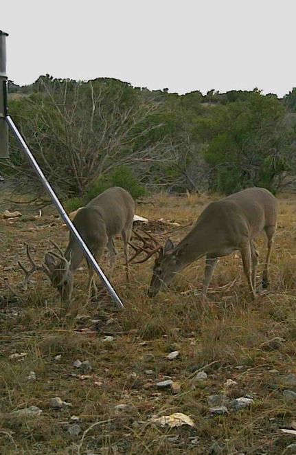 Farm and Ranch for sale in Edwards County, Texas