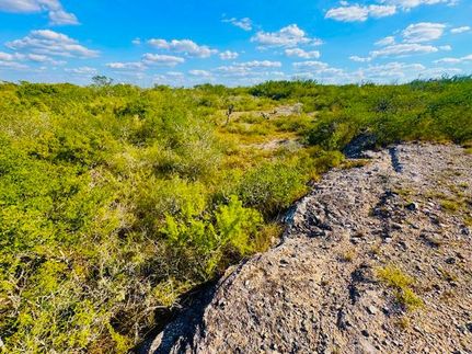 Land for sale in Duval County, Texas