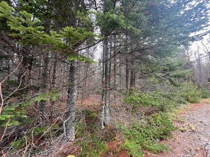 Land for sale in Washington County, Maine