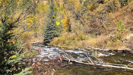 Riverfront Property for sale in Pennington County, South Dakota