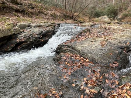 Farm and Ranch for sale in Wilkes County, North Carolina