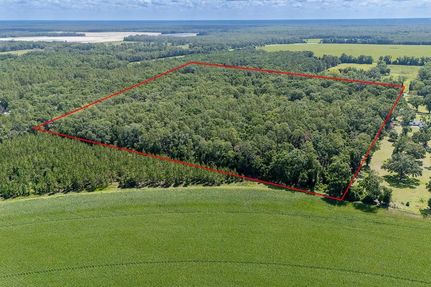 Land for sale in Dixie County, Florida