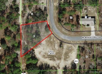 Undeveloped Land for sale in Citrus County, Florida