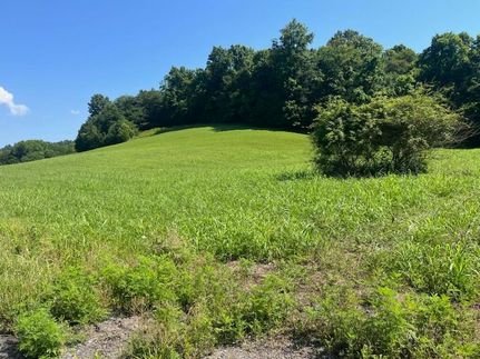 Undeveloped Land for sale in Cumberland County, Kentucky