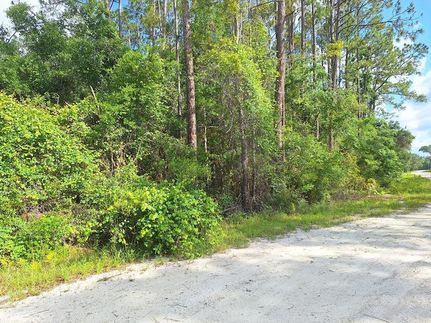 Land for sale in Dixie County, Florida