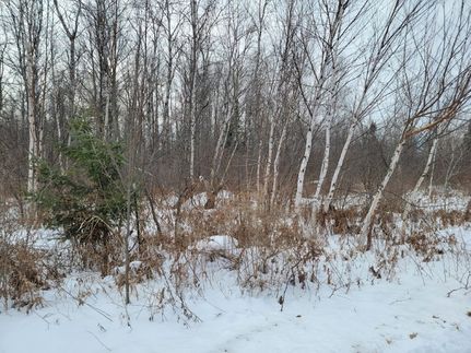 Timberland Property for sale in Sawyer County, Wisconsin