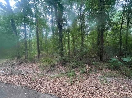 Undeveloped Land for sale in Tangipahoa Parish, Louisiana