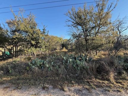 Undeveloped Land for sale in Burnet County, Texas