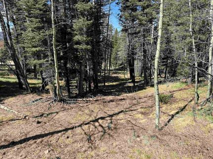 Land for sale in Colfax County, New Mexico