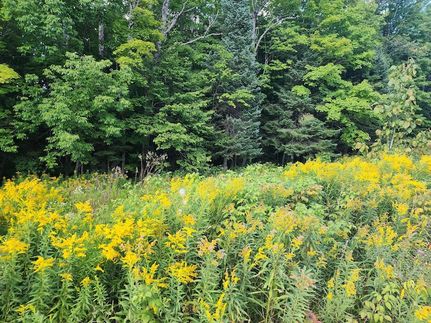 Land for sale in Forest County, Wisconsin