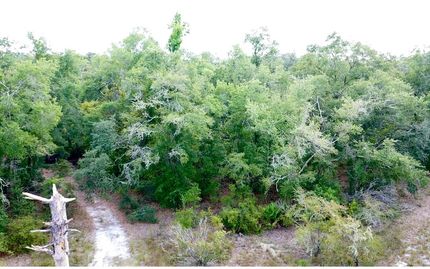 Land for sale in Suwannee County, Florida