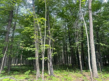 Homesite for sale in Vilas County, Wisconsin