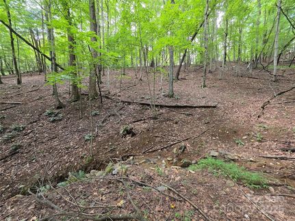 Undeveloped Land for sale in Henderson County, North Carolina