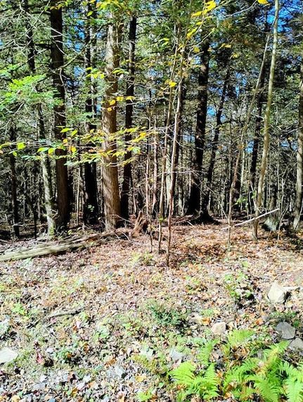 Homesite for sale in Sullivan County, Pennsylvania
