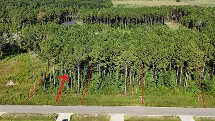 Undeveloped Land for sale in Liberty County, Texas