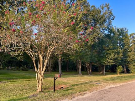 Undeveloped Land for sale in Liberty County, Texas