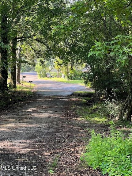 Undeveloped Land for sale in Rankin County, Mississippi